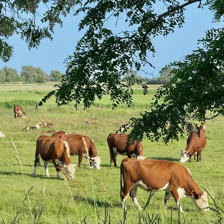 Uns Wiek Hus 3 Apartment *